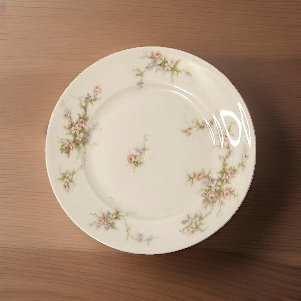 Replacement Theodore Haviland Limoges France 145A Bread & Butter Plate Floral 6.